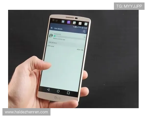 datatft云顶官网入口的访问流程详解与常见问题排查技巧