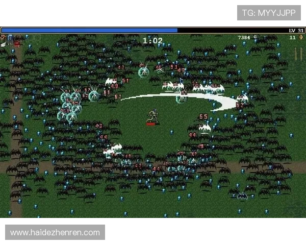 必赢437中国网站的游戏种类丰富多样,满足不同玩家的娱乐需求 必赢437中国网站的游戏种类丰富多样,满足不同玩家的娱乐需求